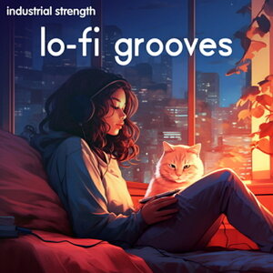 INDUSTRIAL STRENGTH LO-FI GROOVES(�I�����C���[�i)(2���Ԉȓ��ɔ[�i) �v���O�C���\�t�g