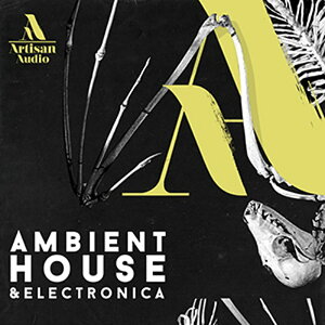 ARTISAN AUDIO AMBIENT HOUSE & ELECTRONICA(IC[i)(2Ԉȓɔ[i) vOC\tg