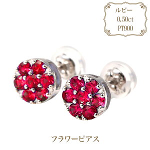 v`i r[ t[sAX E152RB-P PT900 r[ 7 a  g ΂̉ NX}X LO 蕨 g ig fB[X WG[ ANZT[ WG[P[Xt b