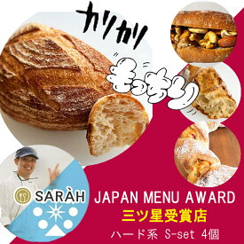SALE10％割引【国内3ツ星受賞 海外5ツ星ホテル提供 特別な無添加パン】パン贈り物 ヘルシー バゲット 冷凍バゲット 冷凍フランスパン フランスパン パン マーガリン不使用 ハードパン 国産小麦 無添加 冷凍パン パン パン詰め合わせ set10s