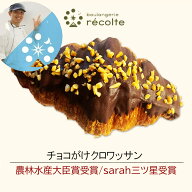【チョコ掛けクロワッサン】パン 神戸レコルト 農林水産大臣賞 sarah3つ星受賞 クロワッサン 食パン が特…
