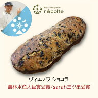 【金曜日以外の出荷限定 ヴィエノワショコラ】パン 神戸レコルト 農林水産大臣賞 sarah3つ星受賞 クロワ…