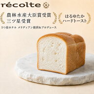 【10％割り18日から 何個買っても送料1200円 はるゆたかハードトースト 食パン 1斤（ハーフサイズ）】パ…