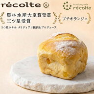 【10％割り18日から 何個買っても送料1200円 火曜日以外の出荷限定 プチオランジェ】パン 神戸レコルト …