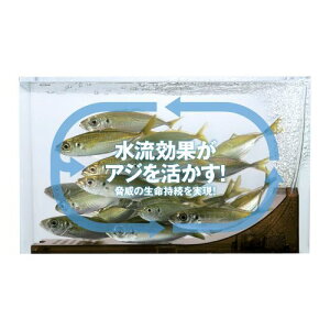 CzE(MEIHO) AWJTCN 12L