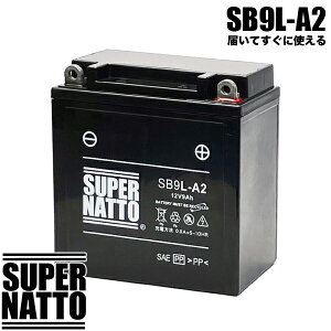 X[p[ibg oCNobe[ SB9L-A2 (t)yYB9L-A2݊zGM9Z-3A-1 FB9L-A2݊yViz