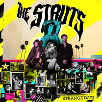楽天市場】the struts cdの通販