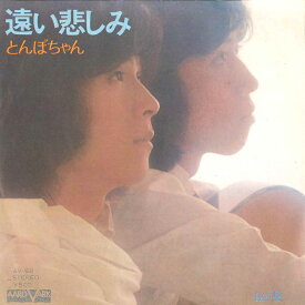 【中古】7" とんぼちゃん 遠い悲しみ / 髪 AV68 AARD VARK /00080