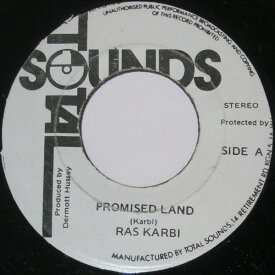【中古】ジャマイカ7” Ras Karbi Promised Land NONE Total Sounds /00080