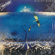 【中古】LP Shakatak Night BIRDS PD16354 POLYDOR