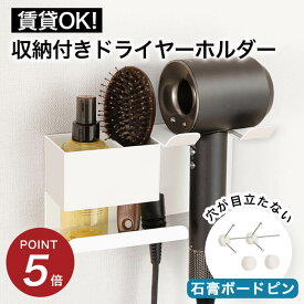 ★100円オフ&P5倍★【賃貸でもOK！】 収納付き ドライヤーホルダー 石膏ボード壁対応 石膏ボード壁 石膏ボード ドライヤー 収納 壁 賃貸 ドライヤー収納 壁掛け ネジ止め ドライヤー収納ケース ドライヤー収納ボックス ドライヤー収納