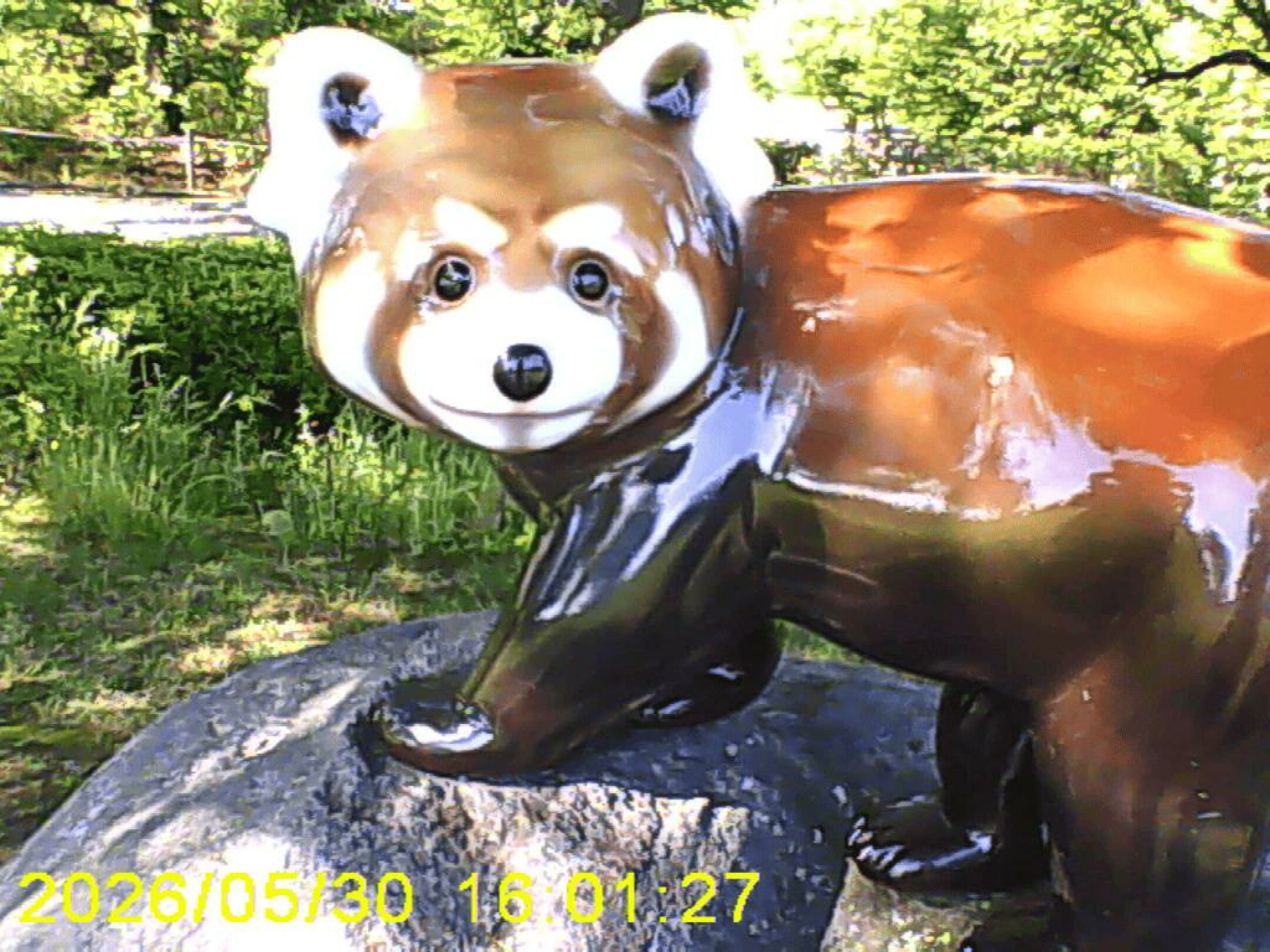 ミニピクで撮影した写真（動物園での思い出）