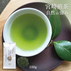 Β  VΉ R̋ Si] _ѐYb 3NAܒ {  Β { I yY 蕨 Mtg v`Mtg 蕨 v[g i y