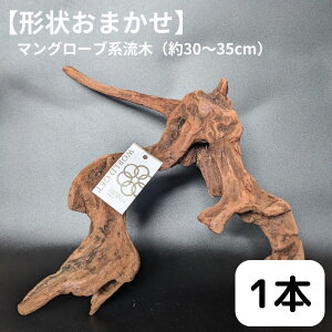  }O[un 1{ 30cm`35cm ANAE eE A  nMO nhCh _J  p_E CeA ̃CeA ϗtA CeA CAEg