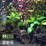 【アクア関連2点以上購入で10％OFF】溶岩石 Mサイズ 1本 約10〜15cm【形状お任せ 高多孔質】アクアリウム…