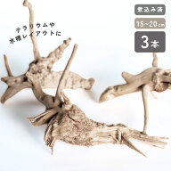 あく抜き済み 流木 枝状 3本セット 15cm〜25cm 形状お任せ ナチュラルブランチ アクアリウム 水槽 レイア…
