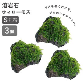 【2点以上で10%OFFクーポン対象】ウィローモス 溶岩石 5-10cm 無農薬 3個 水草 活着 コケ 苔 水槽 レイアウト 火山岩 ブラック メダカ シュリンプ エビ 隠れ家 ビオトープ テラリウム パルダリウム コケリウム アクアリウム 国産 天然石