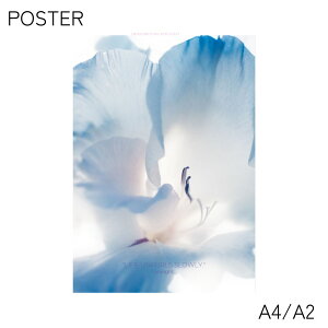poster A4 A2   ʐ^ |X^[ k  A  CeA A[g|X^[ nCA MѐA t O[ ϗtA R  WO A 썑 킢 ؍ CeA 