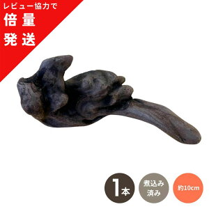 yr[eŔ{ʔIz1{  ύݍς 10cm TCY  ς `󂨔C ANAE  _J  CAEg rIg[v  ؕt Obs[ CAEgf 
