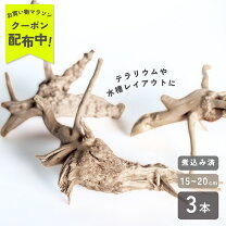楽天市場】グッピー（流木｜流木・砂利・レイアウト用品）：水槽 
