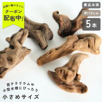 楽天市場】流木 送料無料の通販