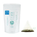 日本茶 有名 新緑園 Great Taste Awards 2024 受賞 急須で淹れたみたいに美味しい煎茶ティーバッグ ティーパック お茶の葉 ギフト 簡単 おいしい 緑茶 リピーター続出 国際線ファーストクラス 煎茶 日本茶 宮崎茶 九州 宮崎名物 飲みやすい お手軽 ティーバック プレゼント