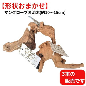 y`󂨂܂3{Zbgz }O[un  ANAE eE GA[vc Ӓ  A ϗtA CeA CAEgf _J  10`15cm