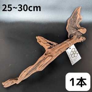  }O[un 1{ 25cm`30cm ANAE eE A  nMO nhCh _J   p_E CeA ̃CeA ϗtA CeA CA