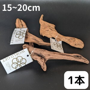  1{ 15`20cm  ANAE  eE GA[vc Ӓ  ߂ CeA CAEgf _J  lH ߂      ANApi 