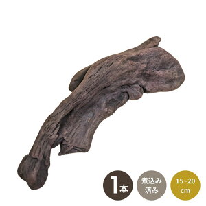 1{  ύݍς 15~20cm TCY  ς `󂨔C ANAE  _J  CAEg rIg[v  ؕt Obs[ CAEgf CAEg ς ύݍ