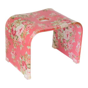 oX`FA AN ԕ C֎q R̎  V[`FA oXXc[ Pn o KNG oXXc[ Jv[Y oXpi