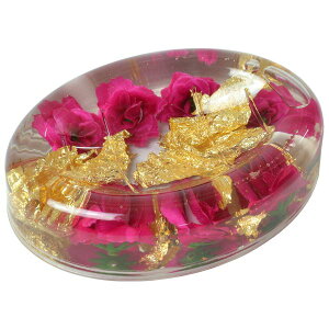 \[vfBbV ΂g[ AN  KN ԕ oXpi bh/p[v/u[