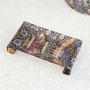 \[vfBbV  C AN ~߉Ht Όg[  oXpi o[hXgx[