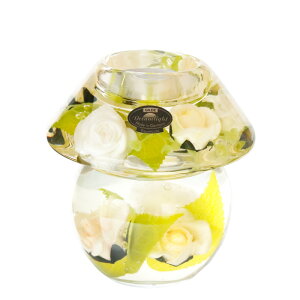 Lhz_[ KX CeA h[Cg m[uX LhX^h KX NX}X v[g l A[eBtBVt[ ԕ KN a v[g 