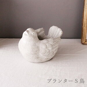 v^[ S   LiLbvtj Zg Aؔ  K[fjO CeA  O