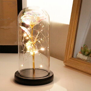 ̓ 2025 e[uv  ドCg LED KX h[Cg Pn CeA KNG Mtg a v[g  e[uv CeAƖ