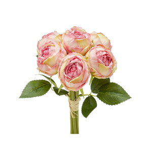 A[eBtBVt[ u[P o  CeA  [Y u[P(7)  t[ o KN ԑ NVJ