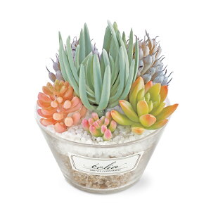 tFCNO[ L ϗtA ctG} T{e  ~j   A[eBtBVO[ L GNA tFCN CeA Mtg a v[g