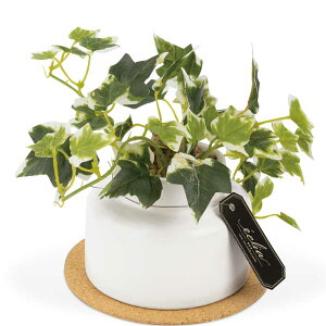 tFCNO[ L ϗtA ctG}   A[eBtBVO[ GNAM Mtg O[ CeA tFCN a v[g Vv N[o[ Xe ACr