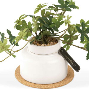 tFCNO[ L ϗtA ctG}   A[eBtBVO[ GNAM Mtg O[ CeA tFCN a v[g Vv N[o[ Xe ACr