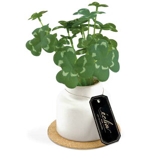 tFCNO[ L ϗtA ctG}   A[eBtBVO[ S GNA Mtg O[ CeA