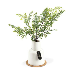 tFCNO[ L ϗtA ctG}   A[eBtBVO[ GNAL v[g a Mtg O[ CeA [J Xe hE_ccW AWA^