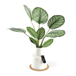 tFCNO[ L ϗtA ctG}   A[eBtBVO[ GNAL v[g a Mtg O[ CeA [J Xe hE_ccW AWA^