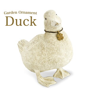 K[fI[ig u Duck Aq K[fjO CeA