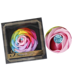 a Mtg \[vt[ Mtg o[Xf[C{[ Ϗܗp V{t[ tOX