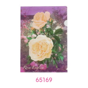 NAt@C A4 1 ԕ t[ v`Mtg  W22×H31cm |vs CG[ ubN p[v