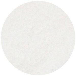 �o�X�^�I�� ���� �ԕ� ���{�� �P�n �K�N�G�� �o���� �^�I�� �G���{�X �J���g���[���[�Y 60×120cm ��