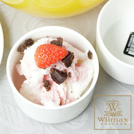 ミニボウル 食器 小鉢 おしゃれ 白 1個 32243 ホワイト 丸型 白 食器 ウイルマックス Wilmax ホテル仕様 デザート皿 イギリス ブランド イングランド