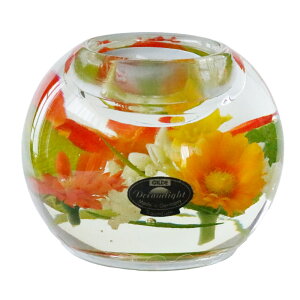 Lhz_[ KX CeA h[Cg }[L[ LhX^h KX NX}X v[g l A[eBtBVt[ ԕ KN a v[g 