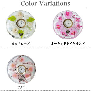 h[NbN v~A uv AiO h[Cg Lhz_[t v[g a KX×WF  Mtg  j GKg Pn